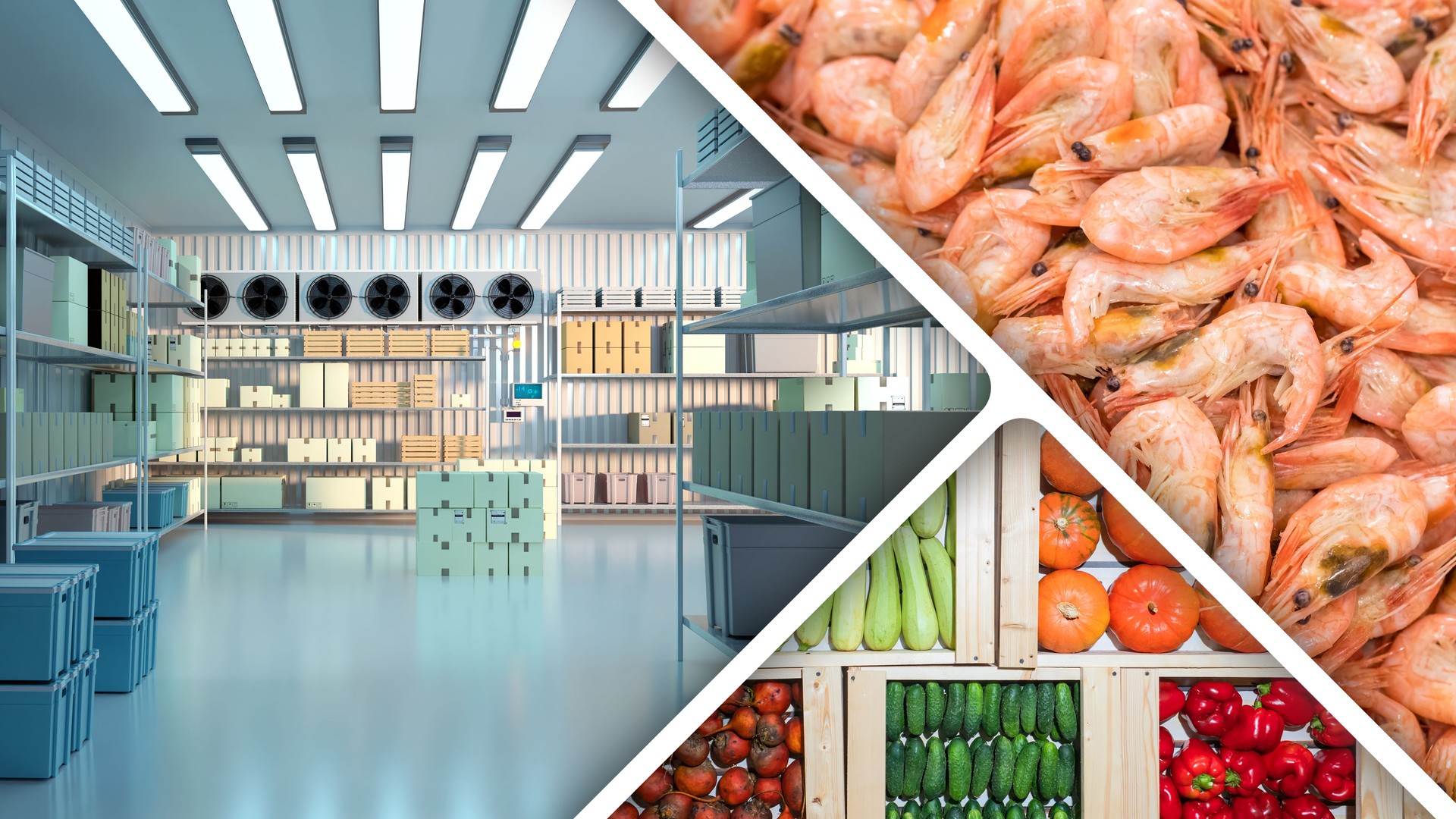 Industrial freezer with food. Frozen shrimp. Fresh vegetables near cold storage warehouse. Storage refrigerator with shelves near walls. Freezer chamber for food establishments. Refrigerator for cafe