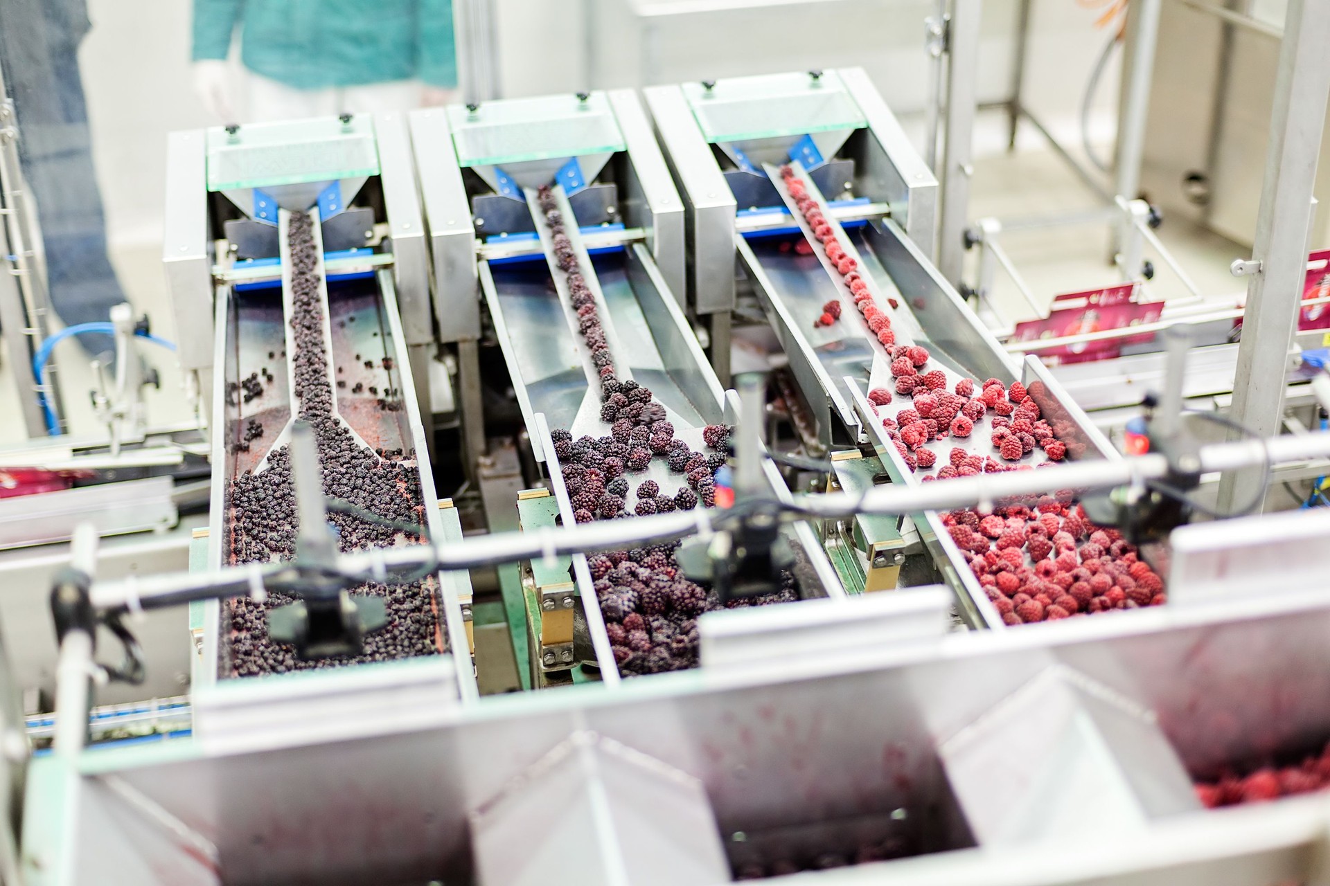 frozen raspberry processing business
